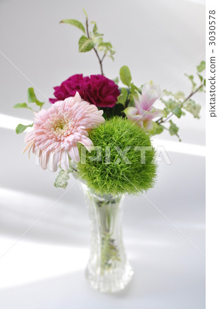 插花 3030578