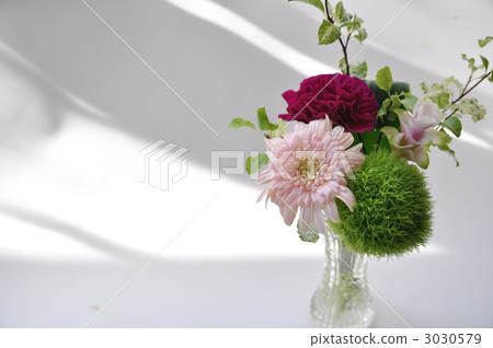 插花 3030579