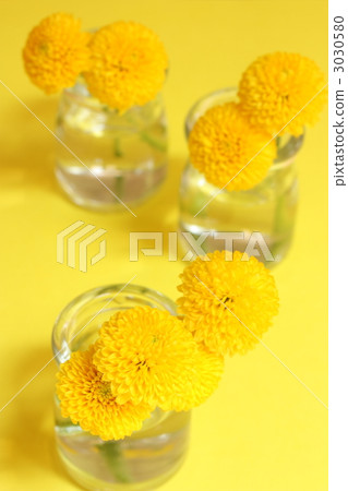 Ping-pong mum 3030580