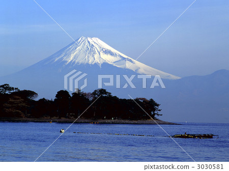 20828富士大崎 3030581