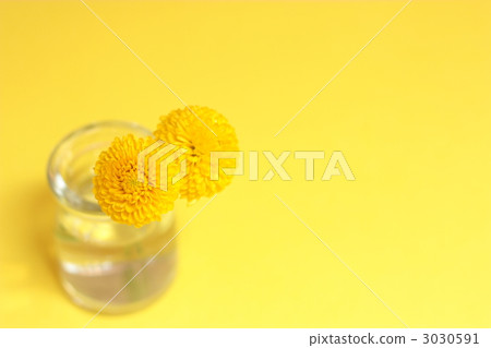 Ping-pong mum 3030591