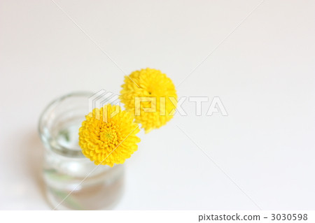 Ping-pong mum 3030598