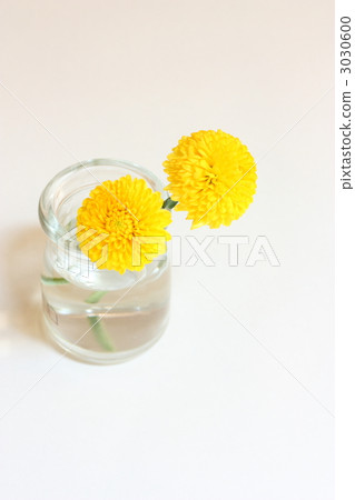 Ping-pong mum 3030600