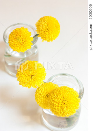 Ping-pong mum 3030606