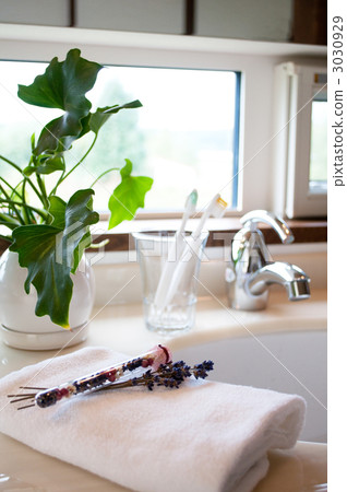 薰衣草的香氣 3030929