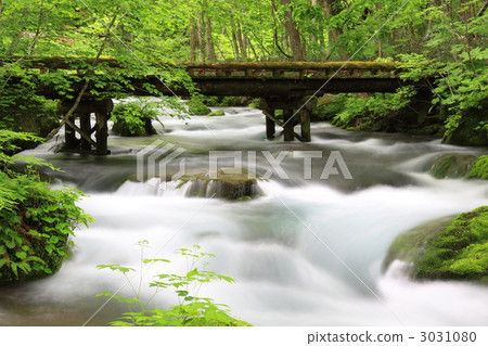 Oirase Stream ⑥ 3031080