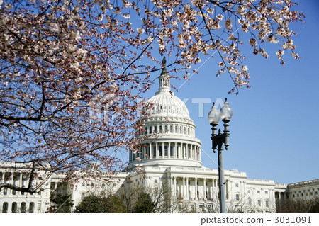 在華盛頓特區 3031091