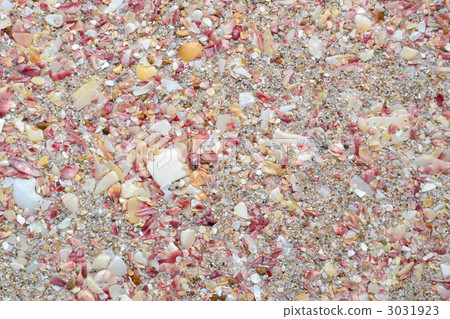 texture, textural, nitidotellina nitidula 3031923