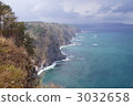 Iwate prefecture Tanohata mura Cormorant nest cliff 3032658