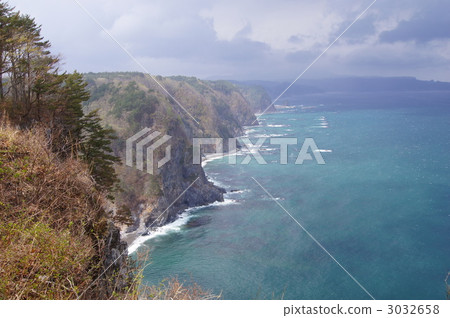 Iwate prefecture Tanohata mura Cormorant nest cliff 3032658