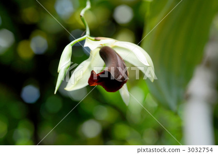 Serologine Ussana Serologine Ussana 3032754