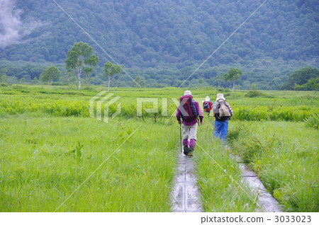 Ozegahara的Ozegahara在夏天小雨 Ozegahara的Ozegahara在夏天小雨 3033023