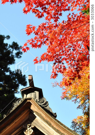 Yokodoji在秋天 3033066