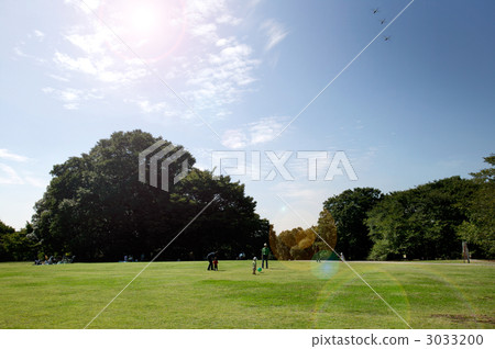 kinuta park, park, parks 3033200