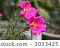 Summer prime Summer prime 3033425