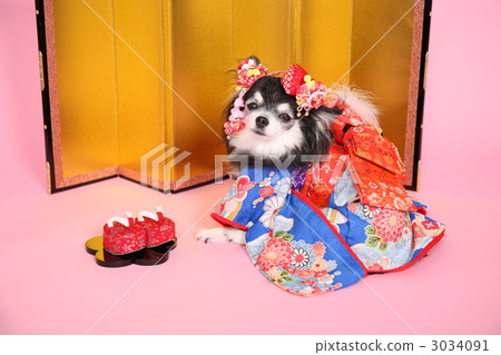 新年賀卡 3034091