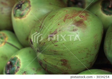 coconut palm, nucifera, coconut palms 3034254