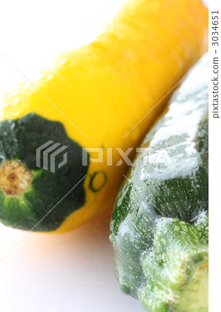 zucchini zucchini 3034651