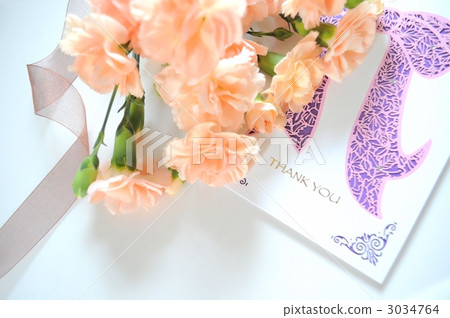 母親節 康乃馨 花朵 3034764