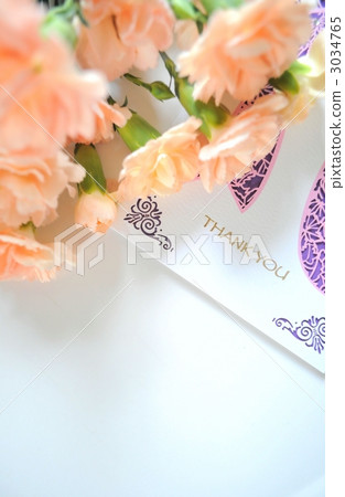 康乃馨 謝謝 粉紅色 3034765