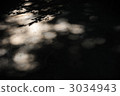 Sunbeams 3034943
