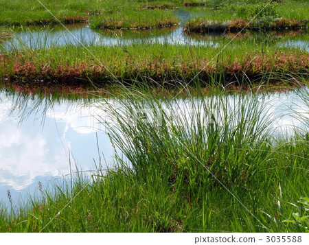 Oze National Park Ozegahara's ital Town 3035588