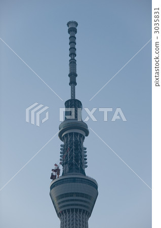 Sky tree  3035831
