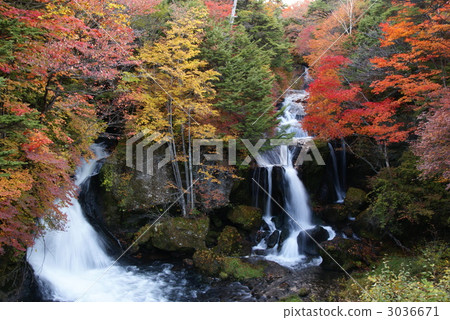 Autumn leaves (Oku-Nikko · Ryuzo Falls) 3036671