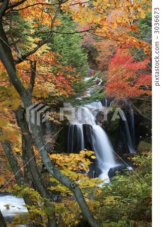 Autumn leaves (Oku-Nikko · Ryuzo Falls) Autumn leaves (Oku-Nikko · Ryuzo Falls) 3036673