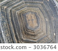 Aldabra Tortoise shell 3036764
