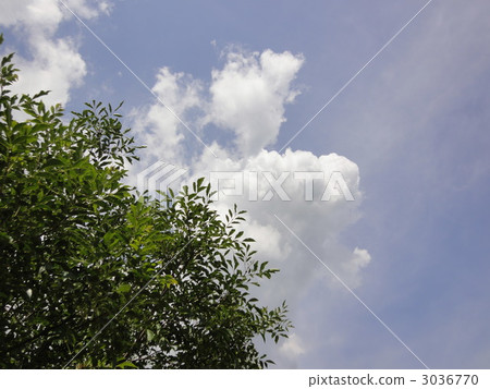 Summer sky and summer sky 3036770