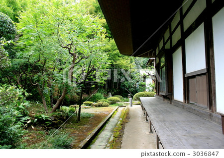 參觀Koryoji寺，在鎌倉Goyama的第五名 3036847