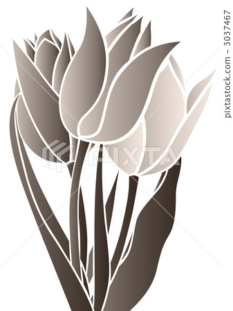 flower, flowers, tulipa 3037467