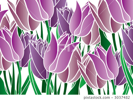 花朵 花 花卉 3037482