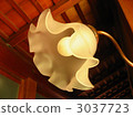 lamp shade 3037723