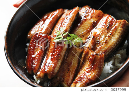 蓋飯 一碗鰻魚飯 愛知縣製造 3037999