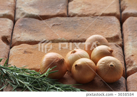 Pecoros和迷迭香 3038584