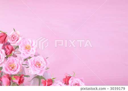 BUTTY玫瑰精華 3039179