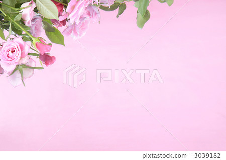 BUTTY玫瑰精華 3039182