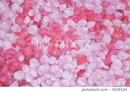 美學形象玫瑰精華 3039184