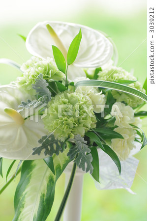 Carnation bouquet 3039212