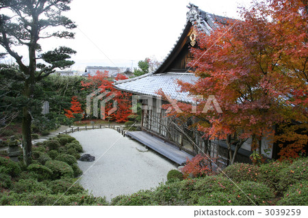 Kinpukuji的深秋 3039259