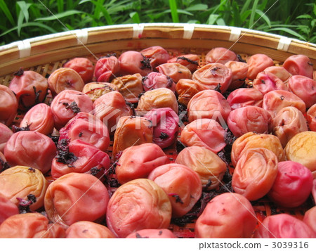 Umeboshi Minami Takashi梅 3039316