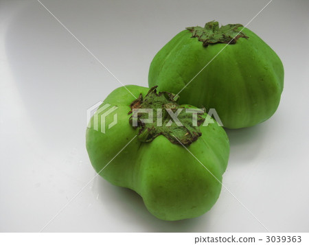 Saitama Blue Daimaru eggplant 3039363