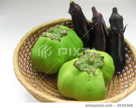 埼玉藍大丸茄子 3039366