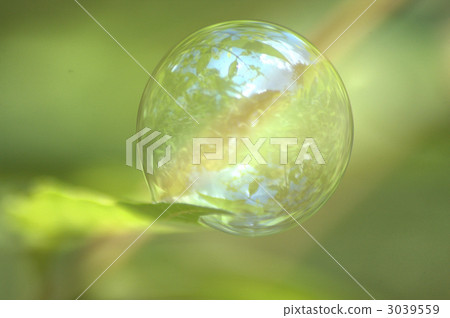 肥皂泡 肥皂泡 3039559