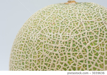 Up of mask melon 3039636