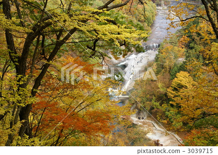 Autumn leaves (Izumo Valley) 3039715