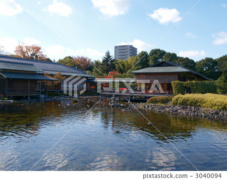 秋天天鵝庭院 3040094