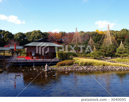 Fall in Swan garden 3040095